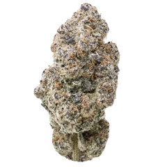 Nuclear Slurpee (Hybrid) - product image