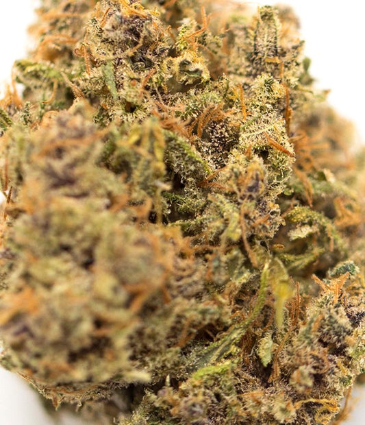 King Louis OG(Hybrid)