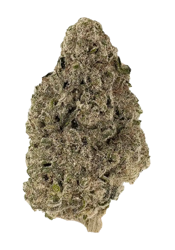Oakland Runtz (Hybrid)