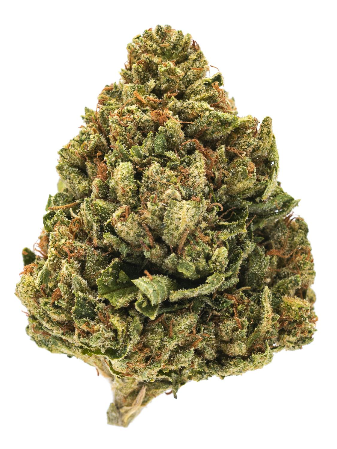 SFV OG (Indica Dom. Hybrid) - product image