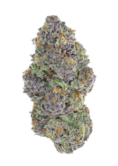 Candy Hustle (Hybrid)
