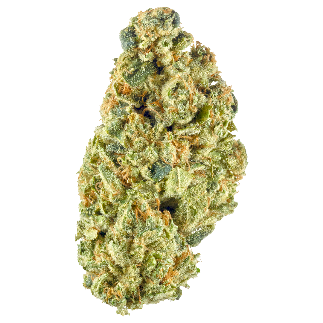 Headband OG (Hybrid)