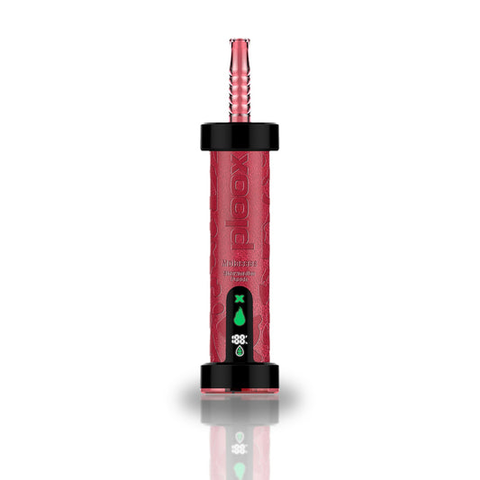 Ploox Molasses 75K Disposable Hookah Vape — Strawmelon Peach