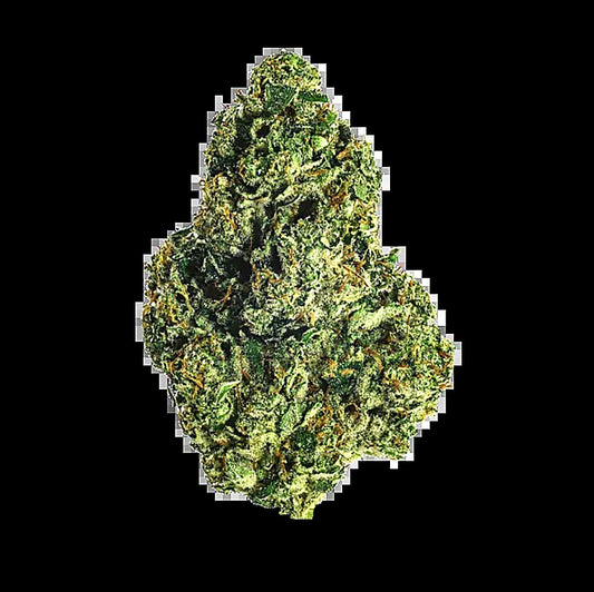 98K (Indica Dom. Hybrid) close-up