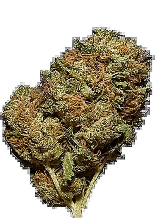 Amnesia Runtz (Sativa Dom. Hybrid) close-up