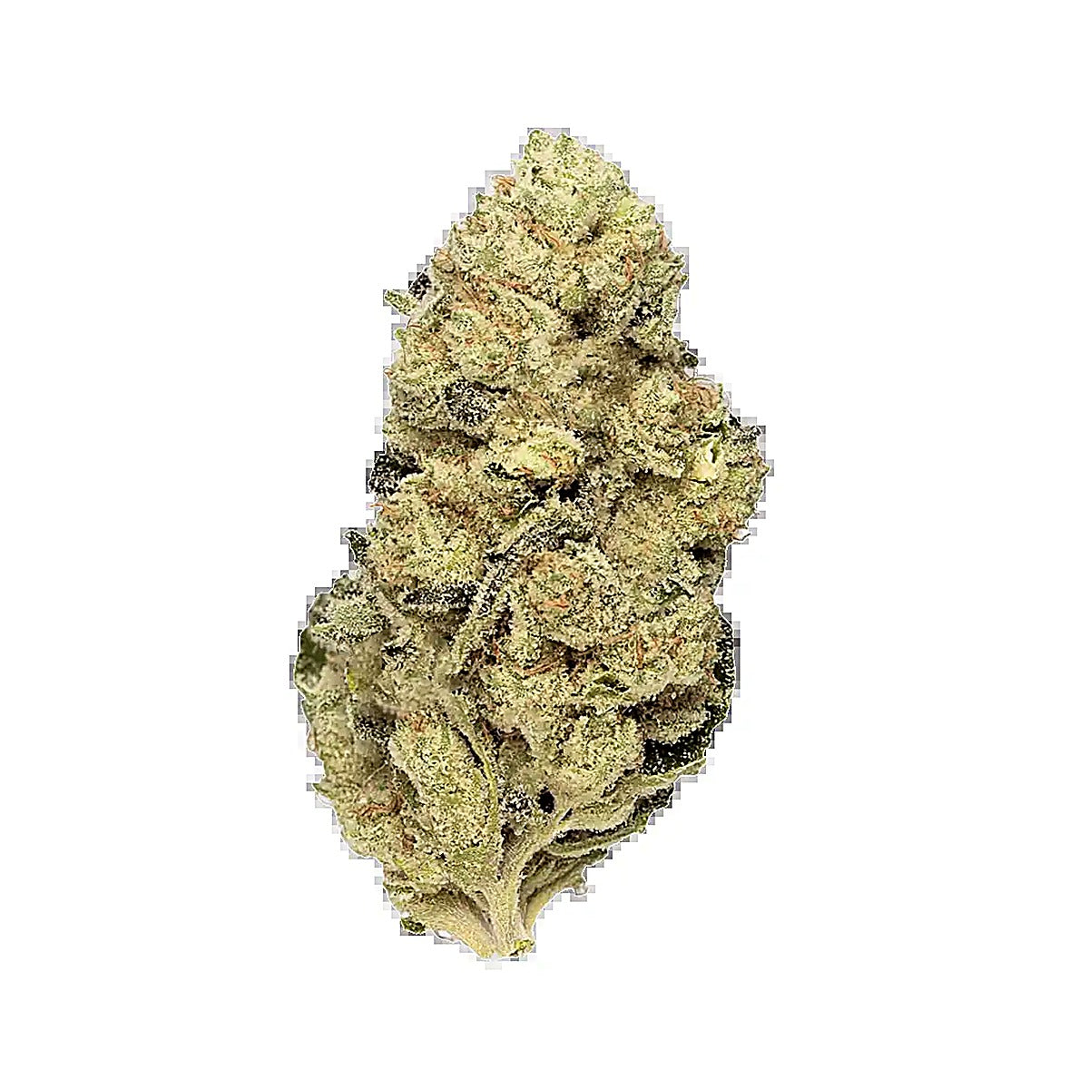 Animal Tsunami (Indica Dom. Hybrid) - THC-A