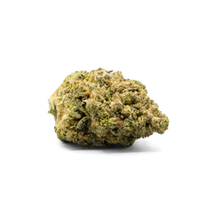 Lemon Cherry Belts (Hybrid) - product image