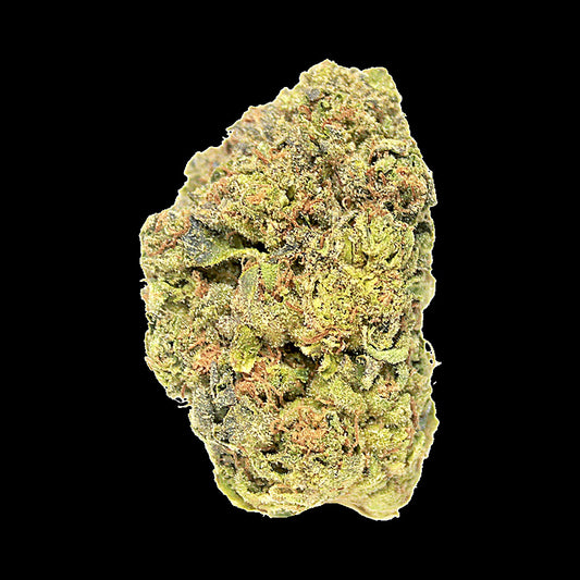 Black Maple(Hybrid) - image 2