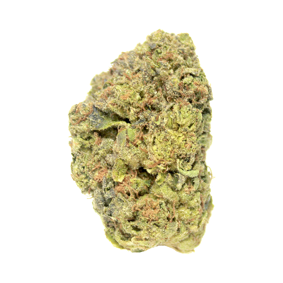 Black Triangle OG (Indica Dom. Hybrid) - Side View