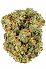 Blanco (Hybrid)