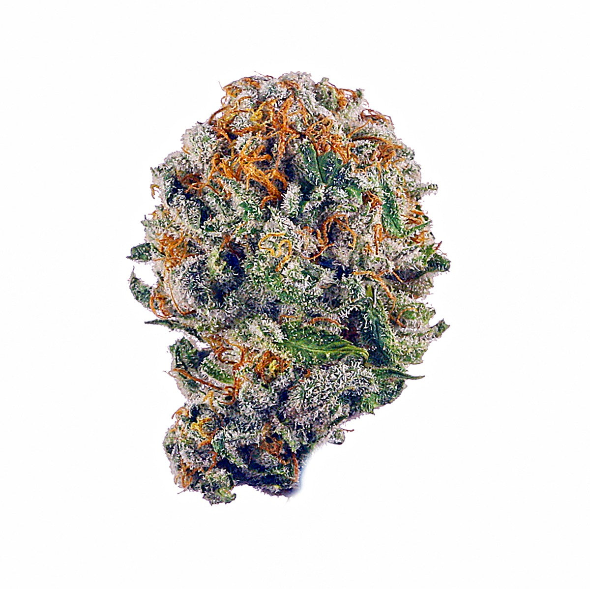 Cereal Milk(Hybrid) - Side View