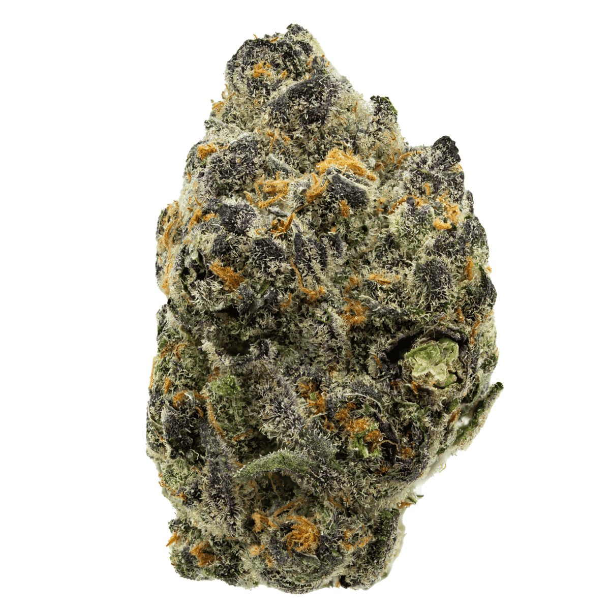 Black Zebra (Indica Dom. Hybrid)