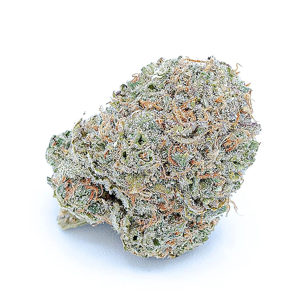 Cherry Punch (Hybrid) - Front View