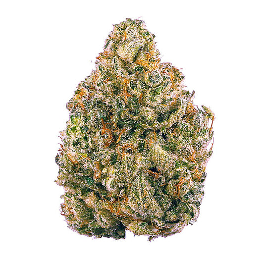Lava Cake(Indica) - Detail View