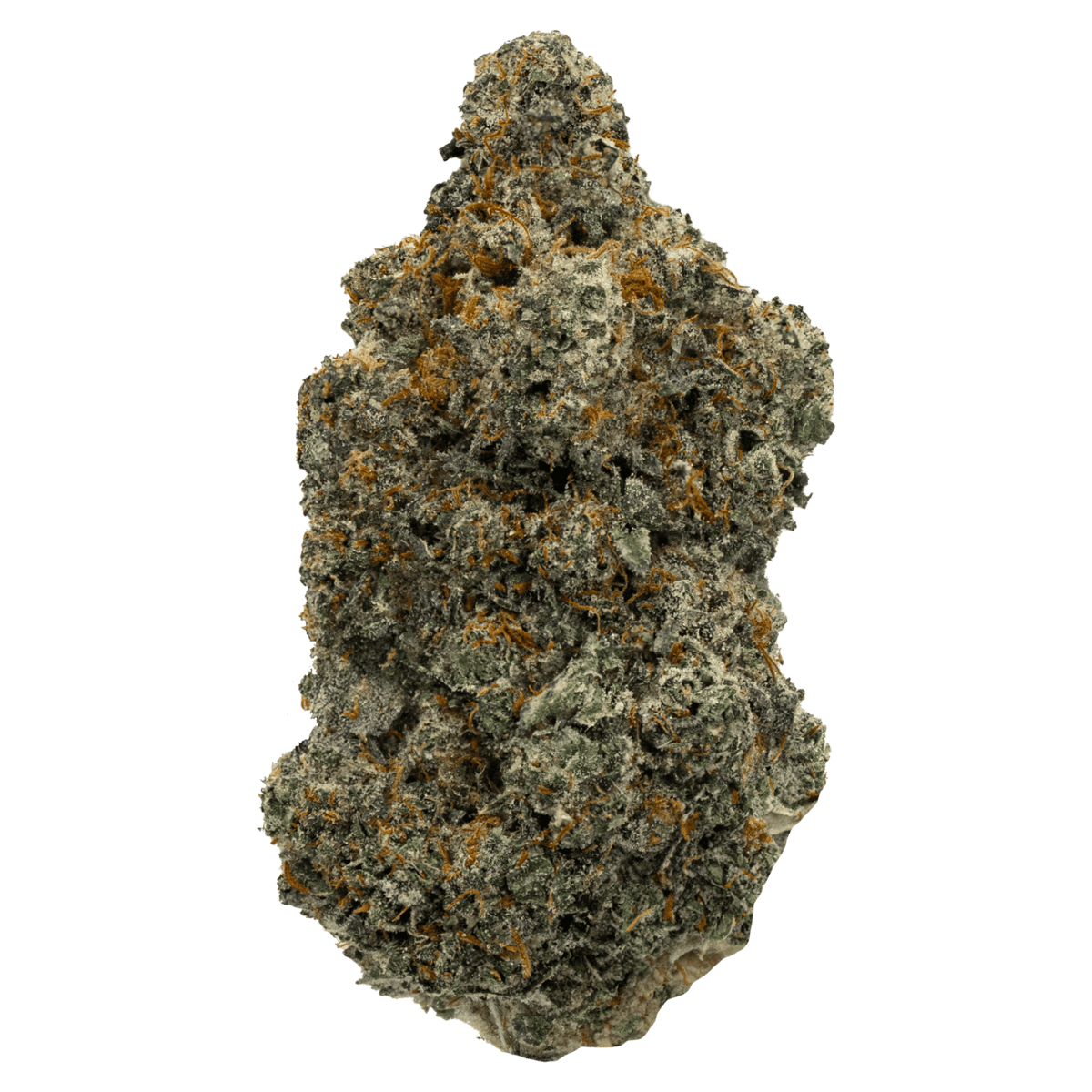 Lemon Popz (Hybrid)