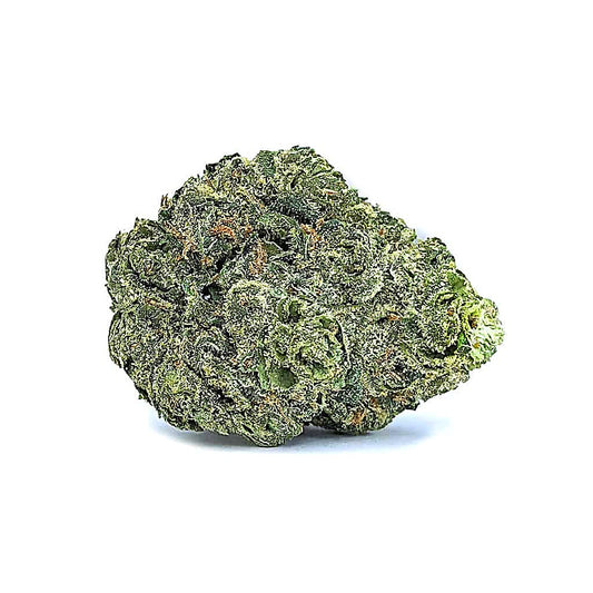 Lemon Sherbet (Hybrid) - Detail View