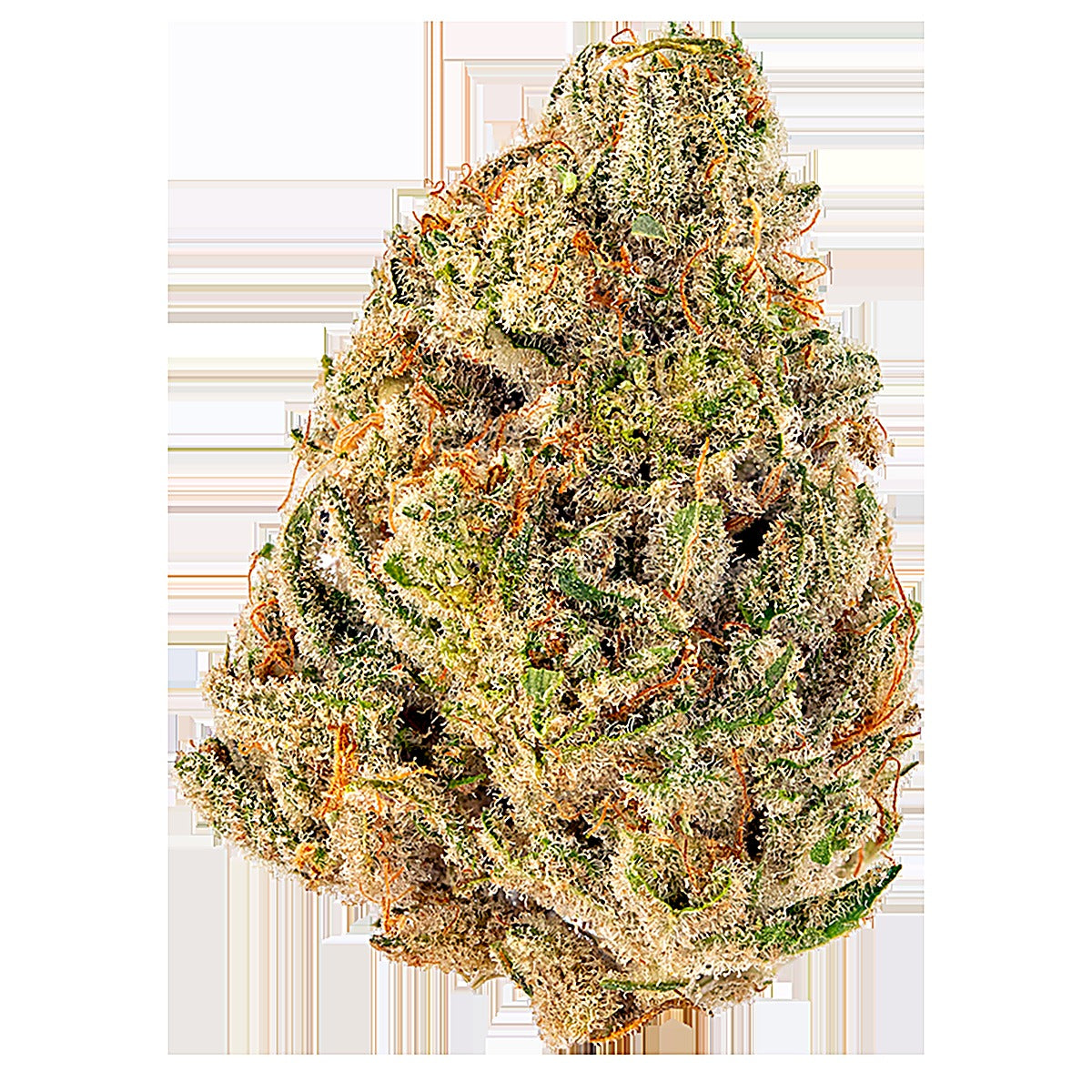 Nightcap (Indica Dom. Hybrid) - Main Image