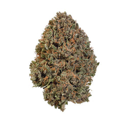 Pink Panther (Sativa Dom. Hybrid)