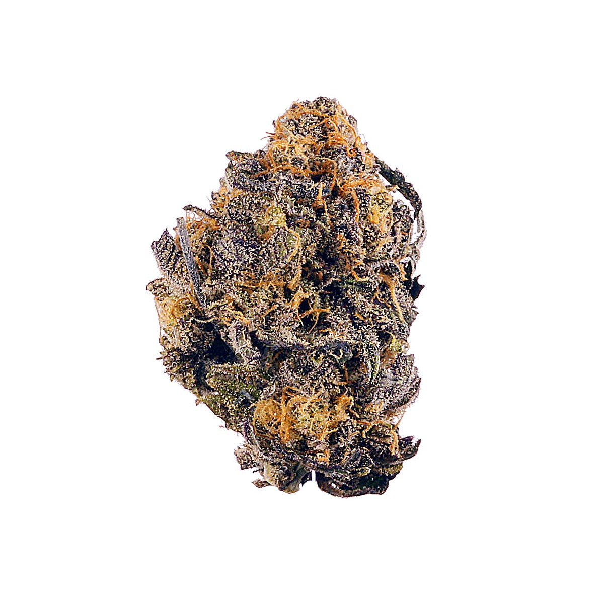 Purple Kush (Indica) - Main Image