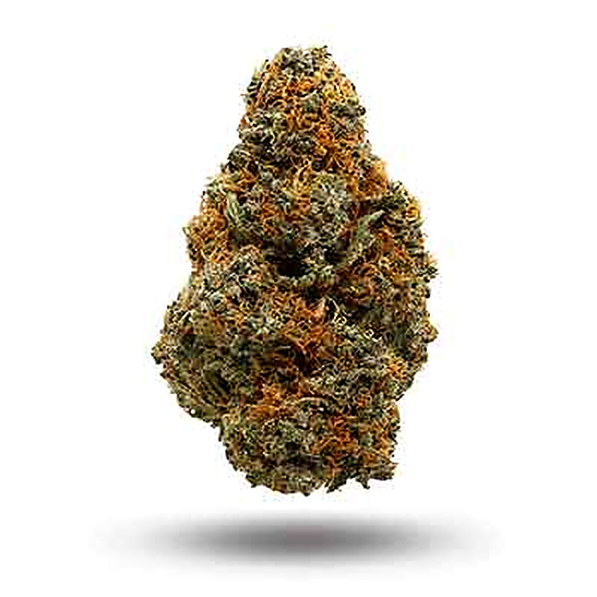 Rainbow Gas (Indica Dom. Hybrid) - Main Image