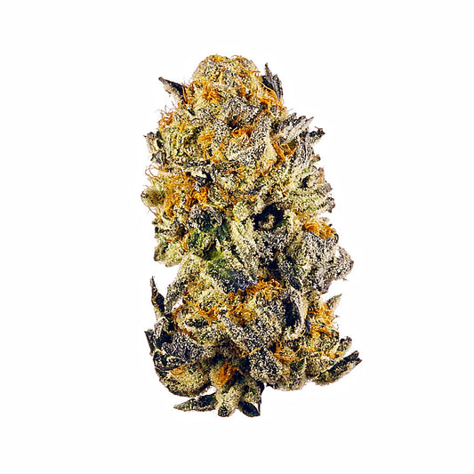 Raz. Gelato(Hybrid) - Detail View