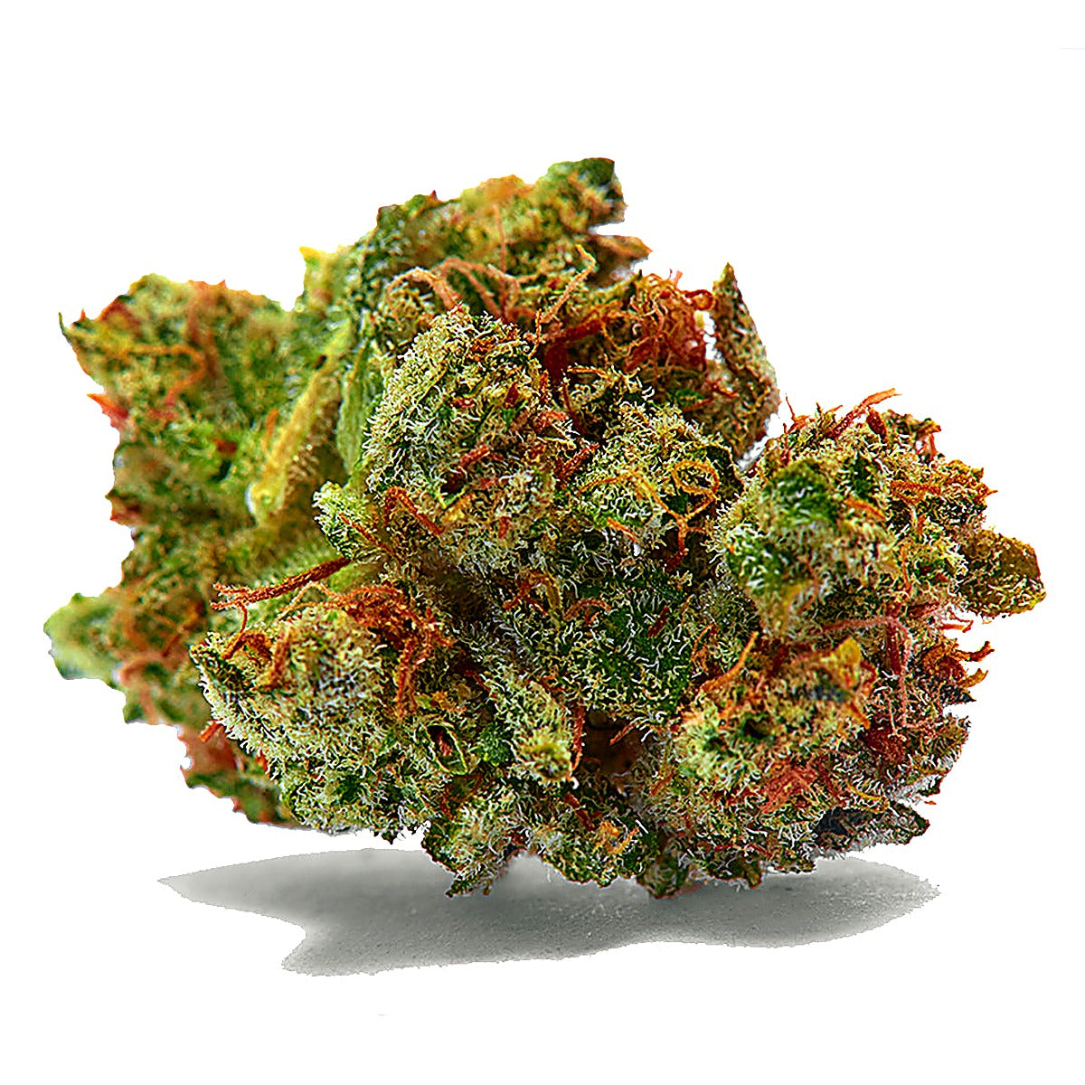 Sour Diesel(Hybrid) - Detail View