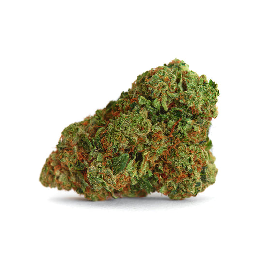 Blue Zerds (Hybrid) - Side View