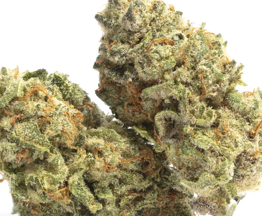 Garlic Budda(Hybrid)