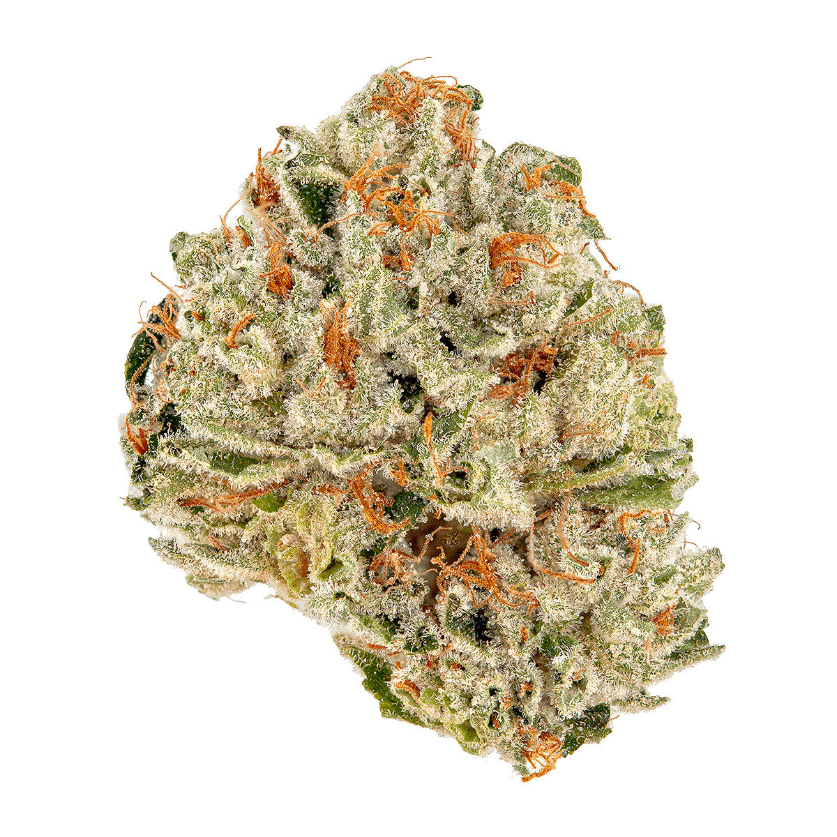 Gruntz (Indica dom. Hybrid)