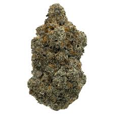 Lemon Popz (Hybrid)