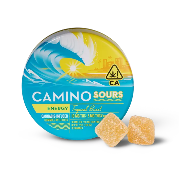Camino Hemp-Infused Gummies 10pk - image 2