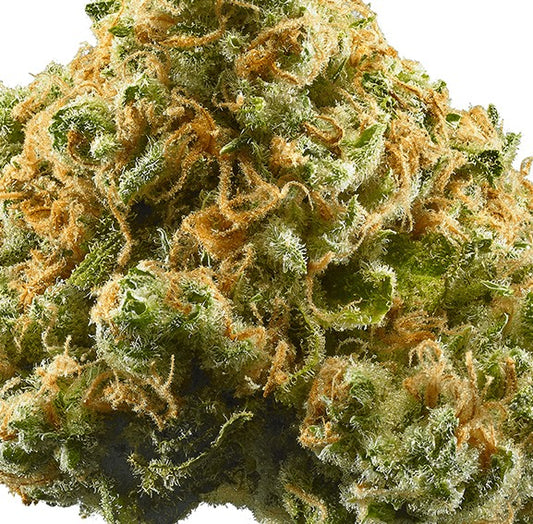 Pineapple Express(Sativa Dom. Hybrid)