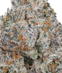 Purple Tesla(Hybrid)