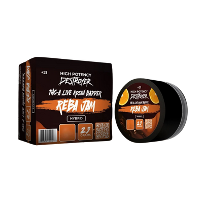 Destroyer High Potency THC-A Live Rosin Badder 2.5G - product image