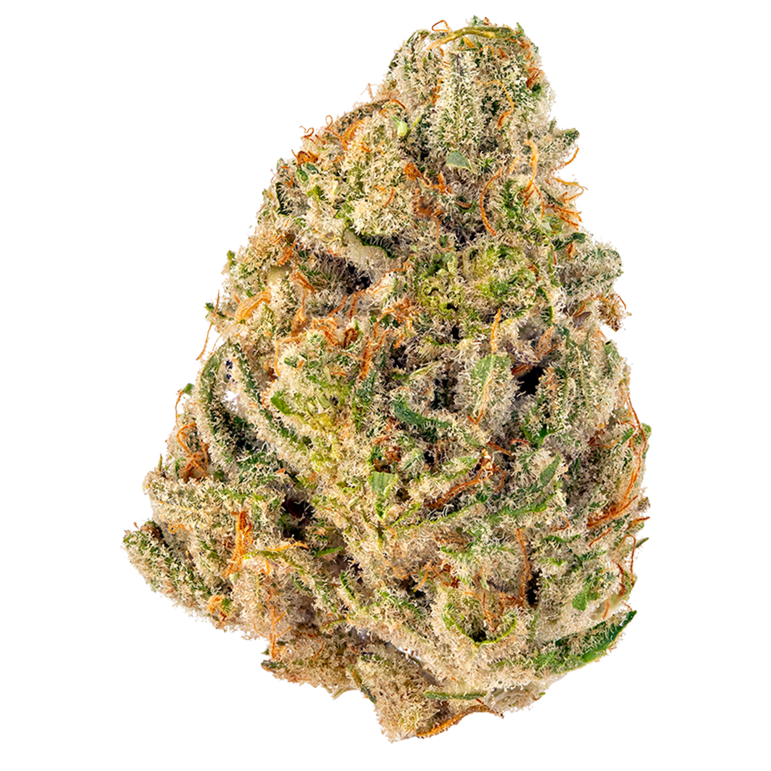Tres Leches (Hybrid)