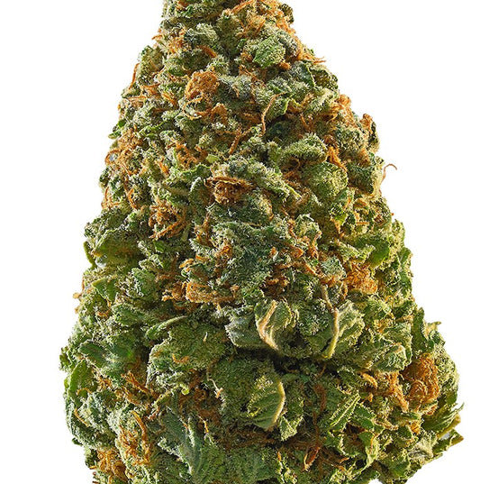 Blue Zoda(Hybrid)