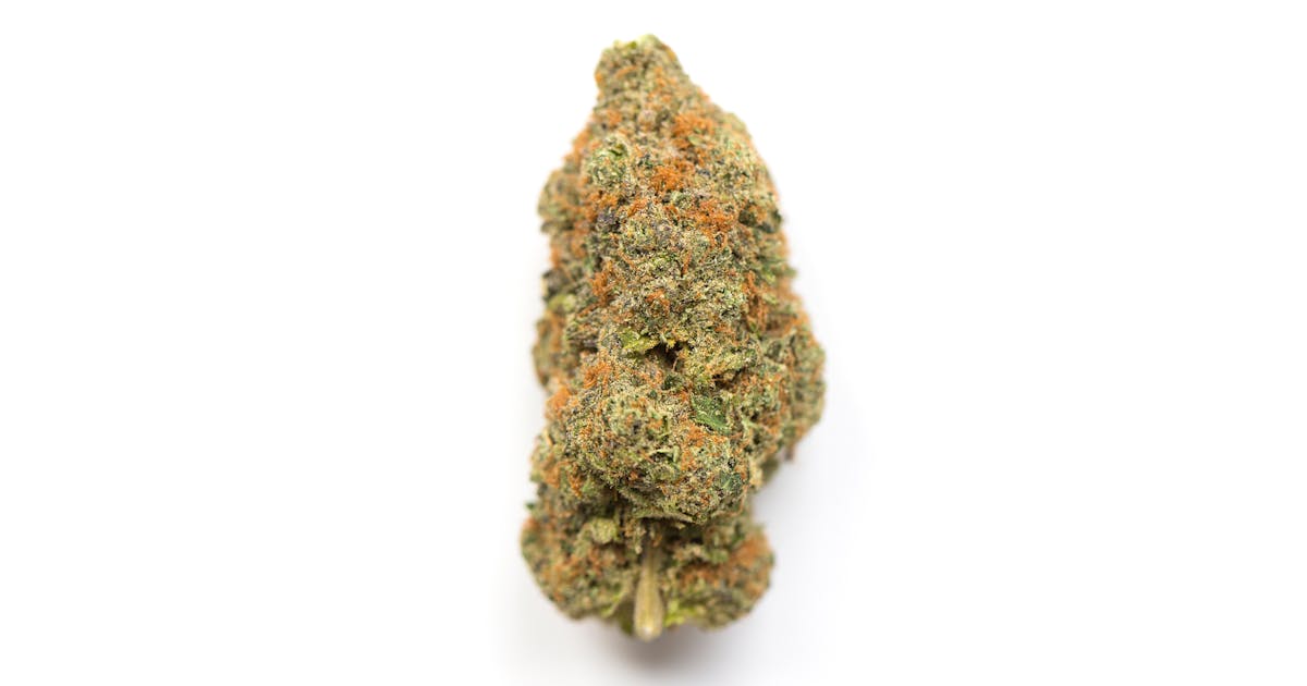 Cherry Houdini (Hybrid)