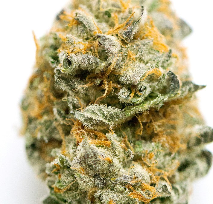 Alaskan Ice(Sativa Dom. Hybrid) THC-A hemp flower - ExoticsDispo