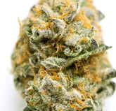 Alaskan Ice(Sativa Dom. Hybrid) THC-A hemp flower - ExoticsDispo