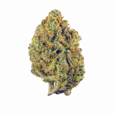 Black Cherry Runtz (Hybrid) | Buy THC-A hemp flower online | ExoticsDispo