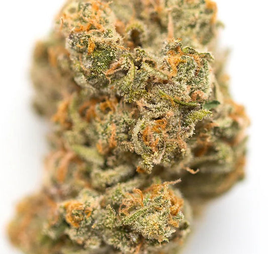 Hash Burger(Hybrid)