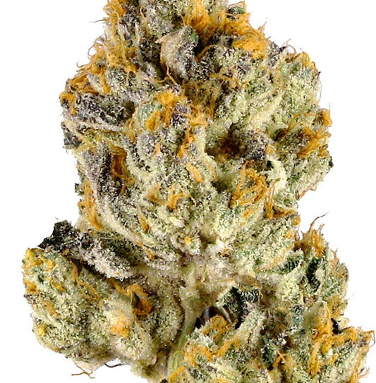 Lemon Cherry Gelato(Hybrid)