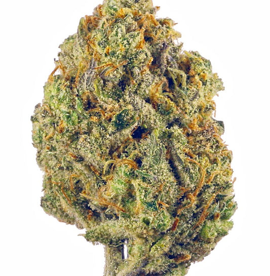 Oreoz(Hybrid)