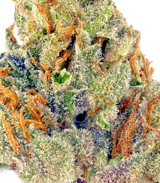 Mitten Cake(Hybrid)