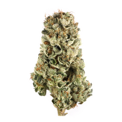 Banana Sherbet(Hybrid) - product front view