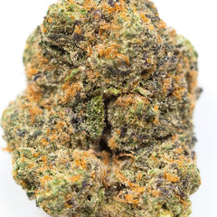 Sunset Dreamz(Hybrid)