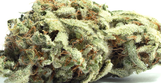 Sugar Shack(Hybrid)
