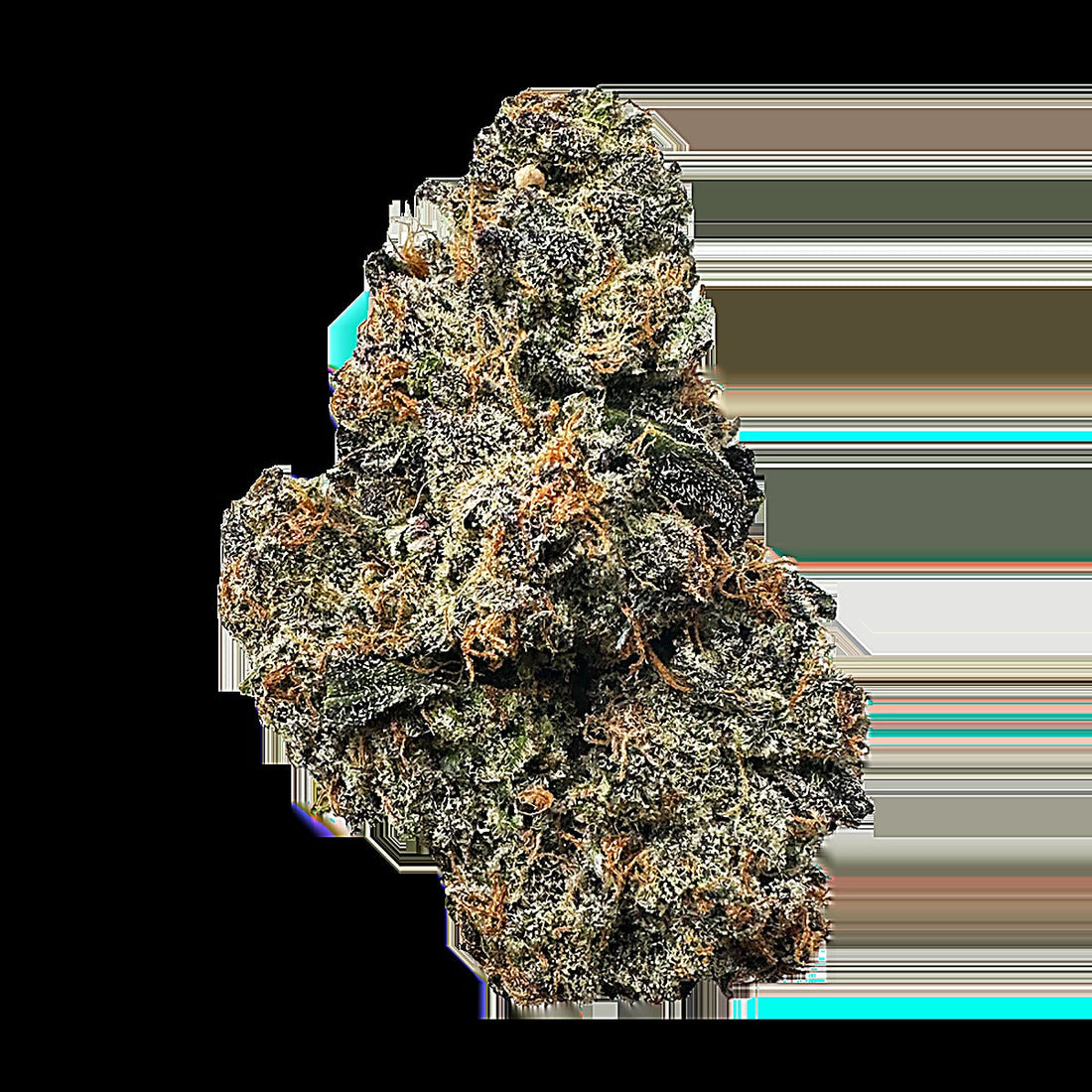 Sour Warhead (Sativa Dom. Hybrid) - Main Image