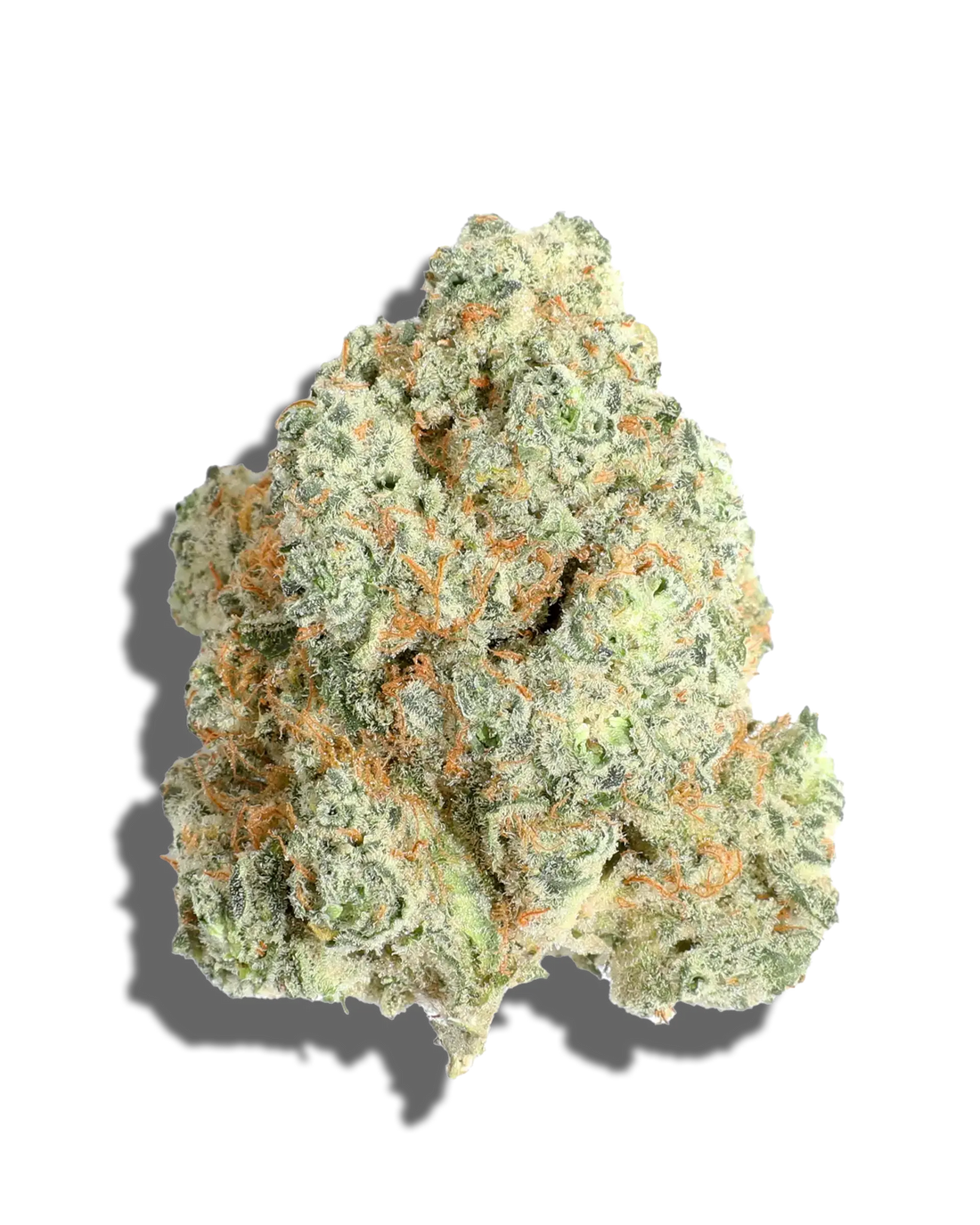 Wild Cherry (Hybrid)