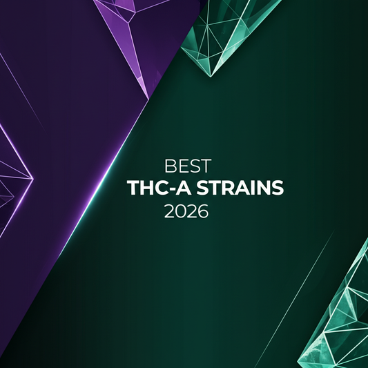Best THC-A Strains 2026 - Complete Buyer's Guide by Exotics Dispensary